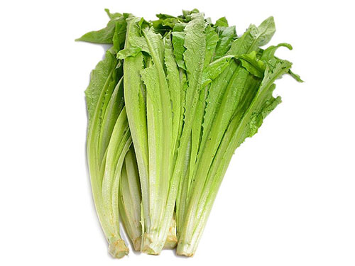 油麦菜