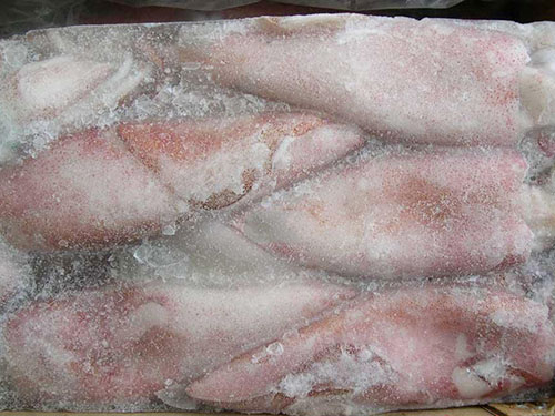 冻鱿鱼