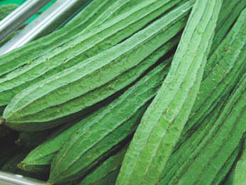 食堂承包规范